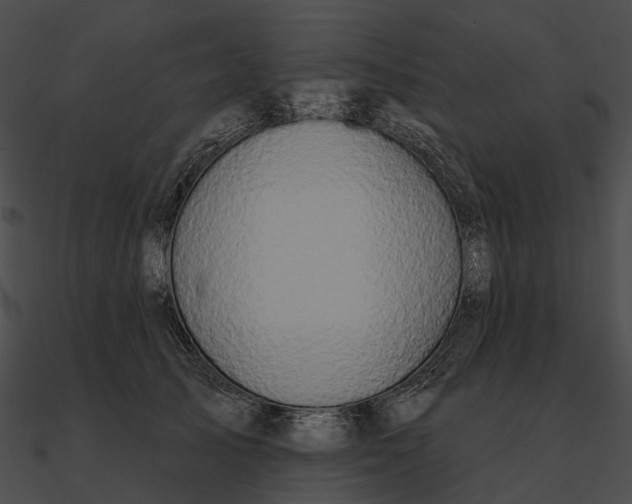 X0000090500705200708031209