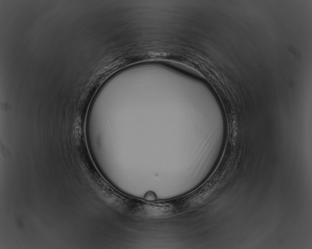 X0000090500707200708031209