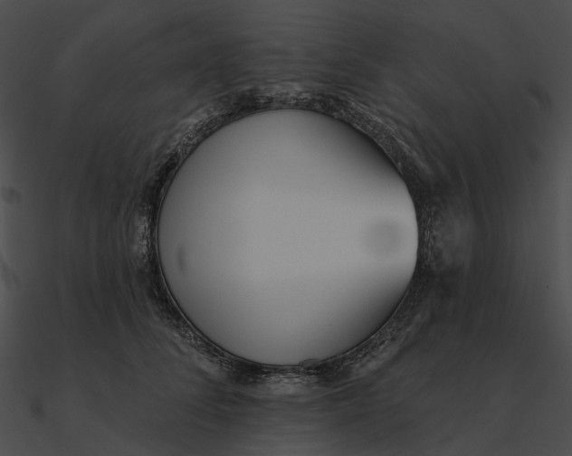 X0000090500708200708031209