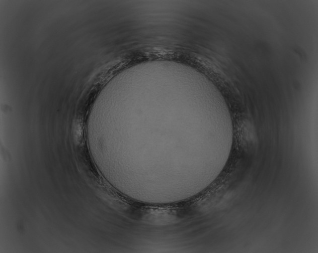 X0000090500709200708031209