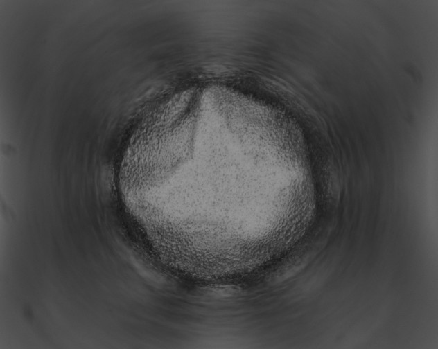 X0000090500711200708031209