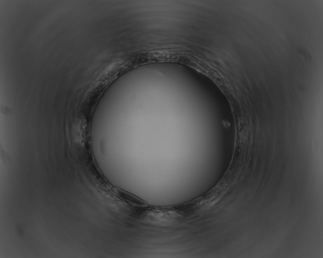 X0000090500712200708031209