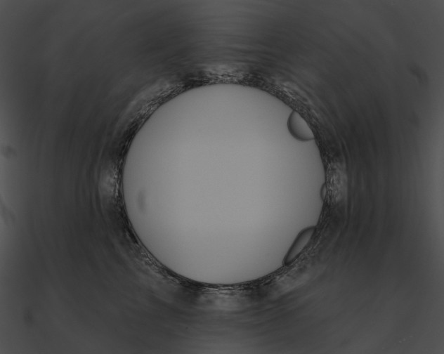 X0000090500713200708031209