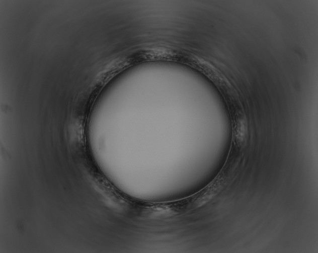 X0000090500715200708031209