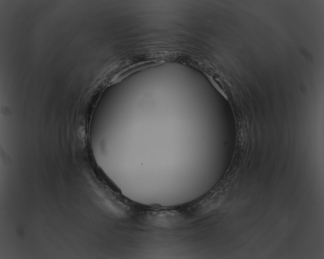 X0000090500716200708031209