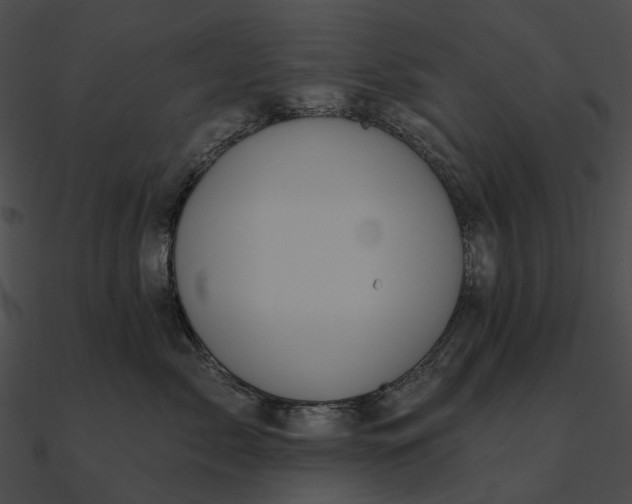 X0000090500717200708031209