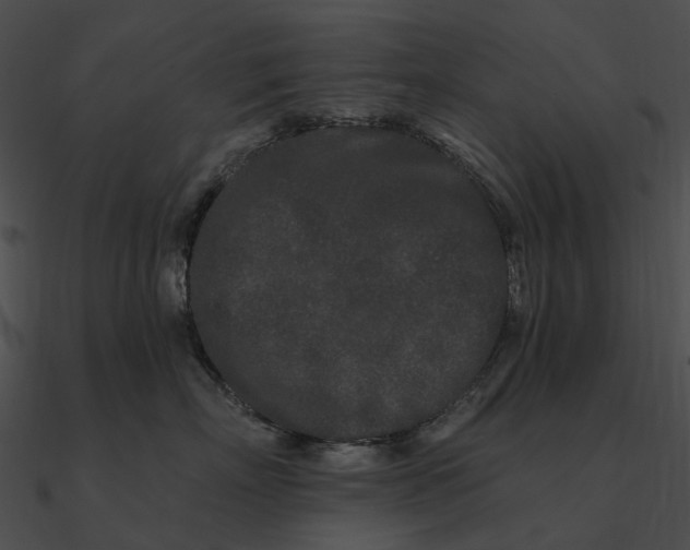 X0000090500718200708031209