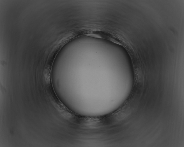 X0000090500719200708031209