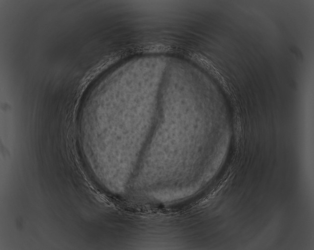 X0000090500721200708031208