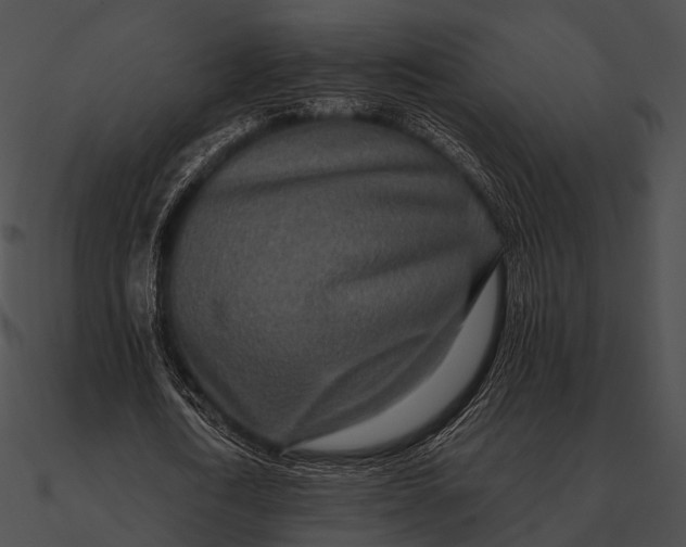 X0000090500722200708031208