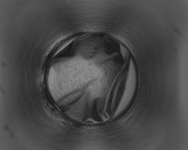 X0000090500723200708031208