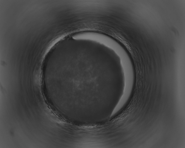 X0000090500724200708031208