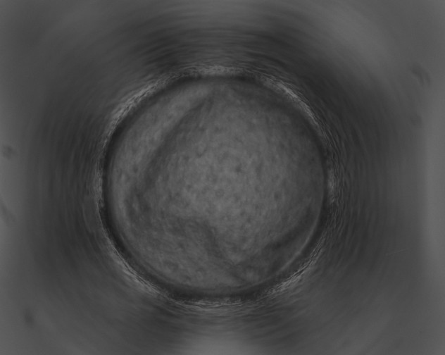 X0000090500725200708031208