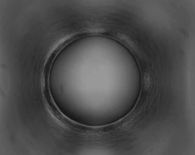 X0000090500726200708031208