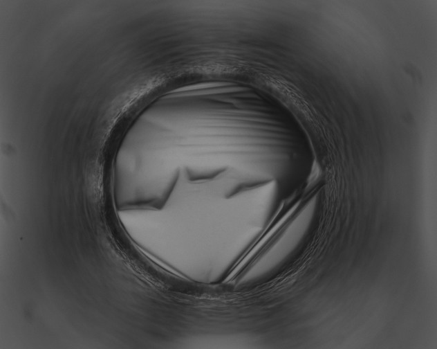 X0000090500727200708031208