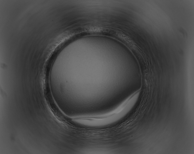 X0000090500728200708031208