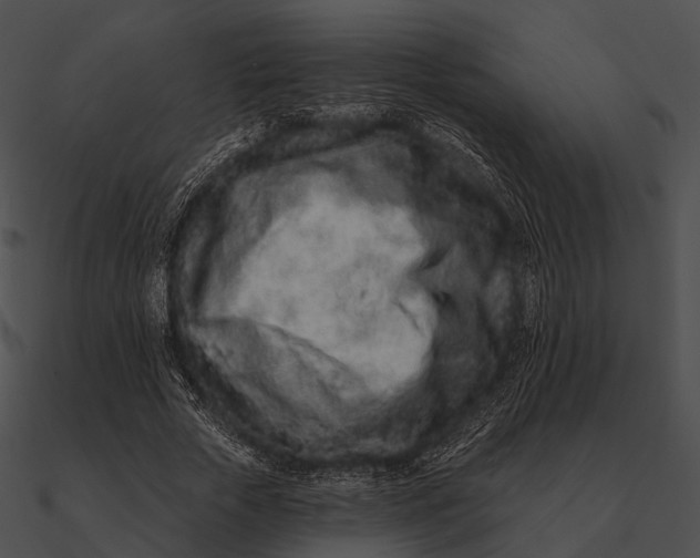 X0000090500729200708031208