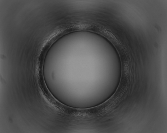 X0000090500730200708031208