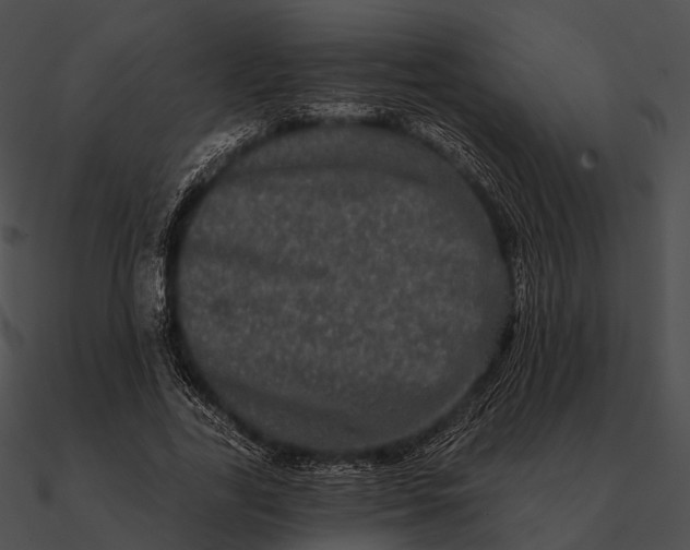 X0000090500731200708031208