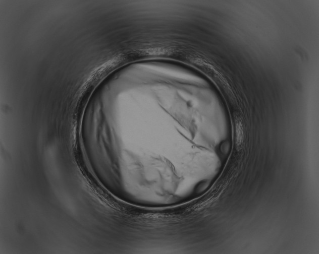 X0000090500733200708031208