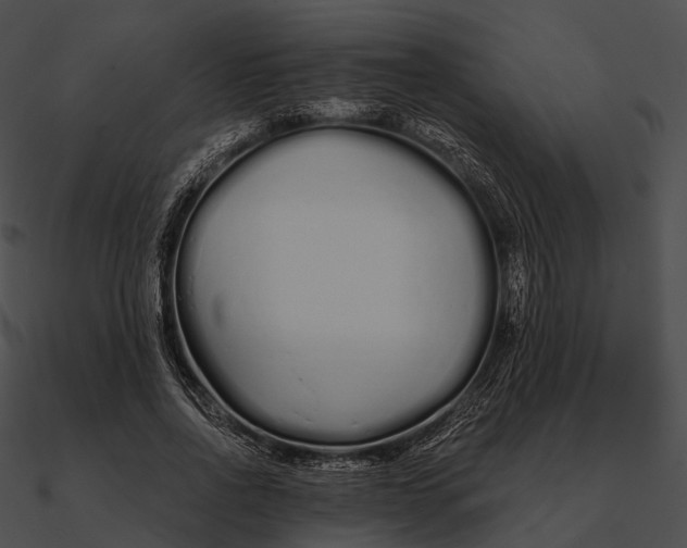 X0000090500734200708031208