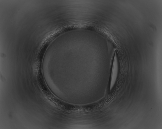 X0000090500736200708031208