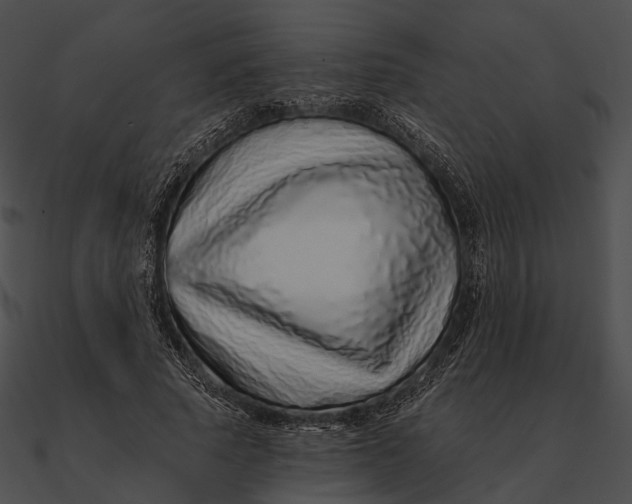 X0000090500737200708031209