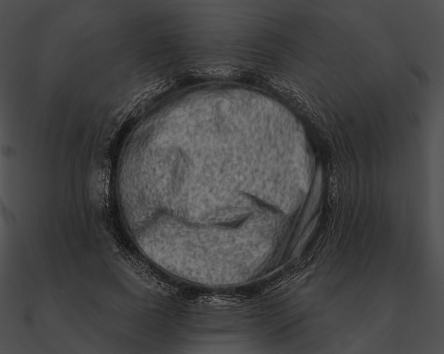 X0000090500739200708031209