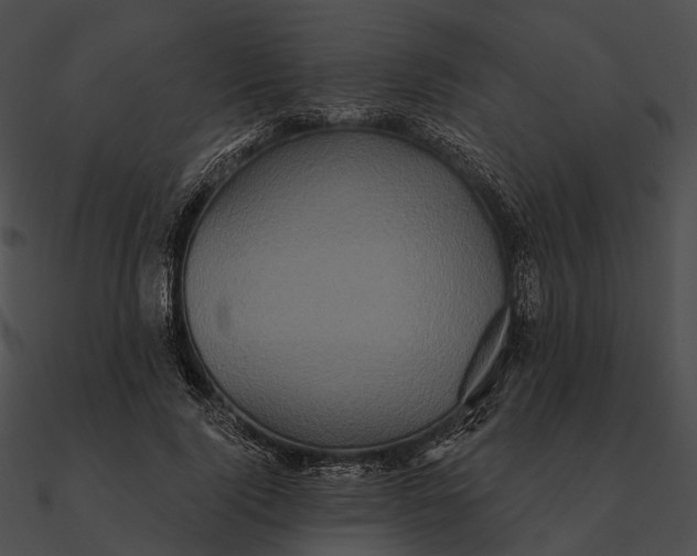 X0000090500740200708031209