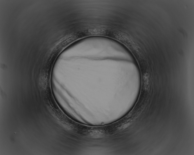 X0000090500741200708031209