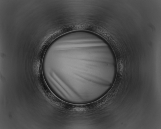 X0000090500742200708031209