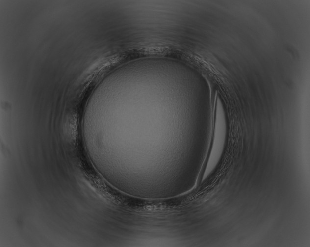 X0000090500744200708031209