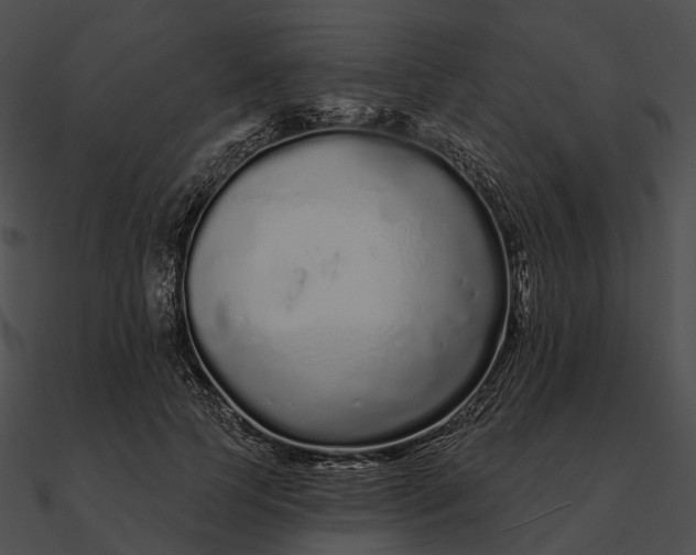 X0000090500745200708031209