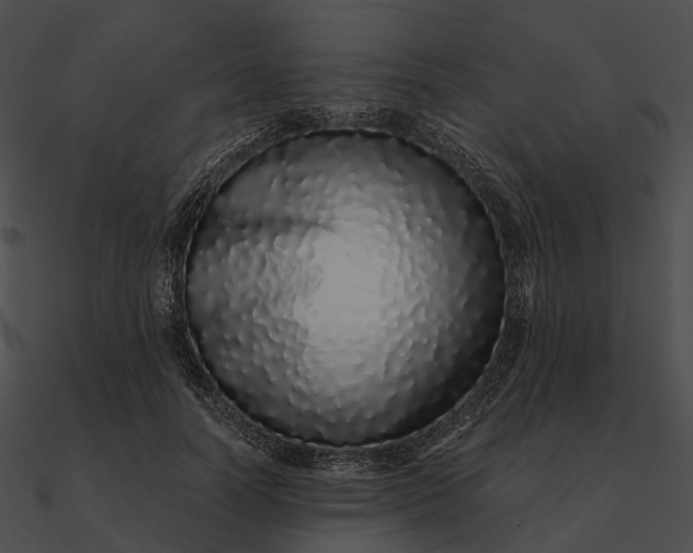 X0000090500746200708031209