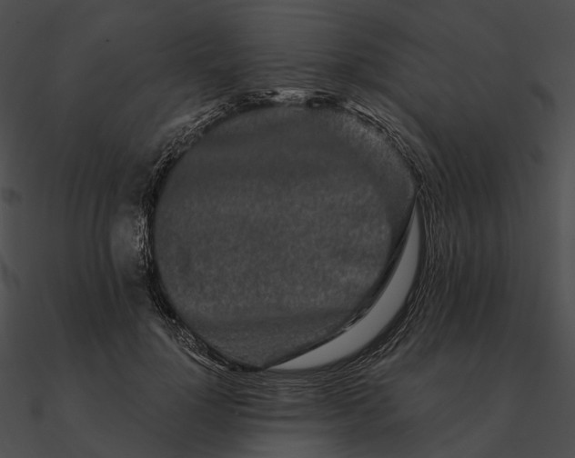 X0000090500748200708031209