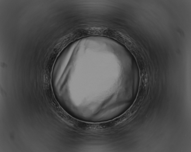 X0000090500749200708031209