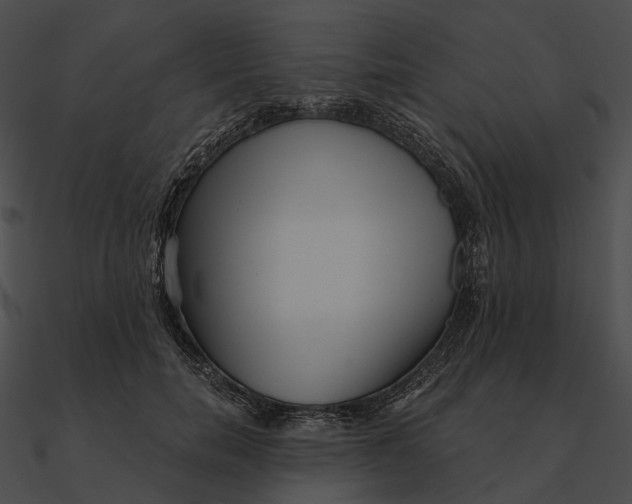 X0000090500750200708031209