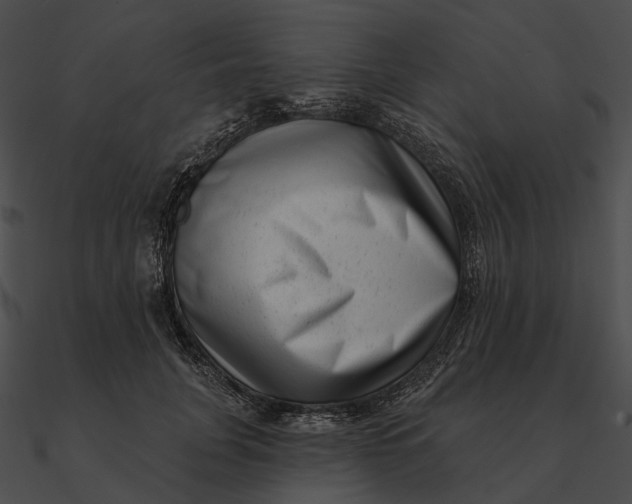 X0000090500751200708031209