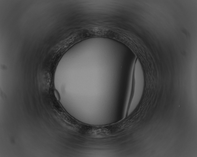 X0000090500752200708031209