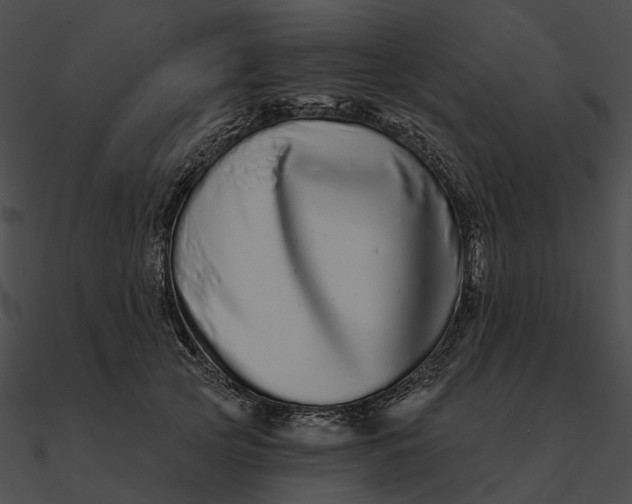 X0000090500753200708031209