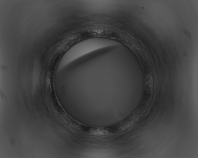 X0000090500754200708031209