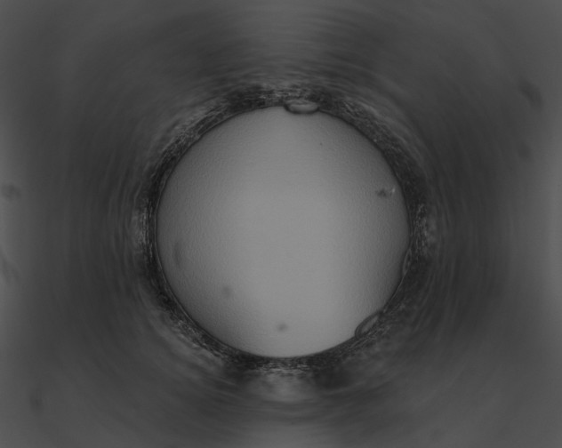 X0000090500756200708031209