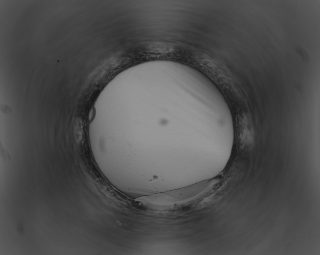 X0000090500758200708031209