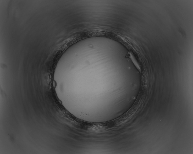 X0000090500759200708031209