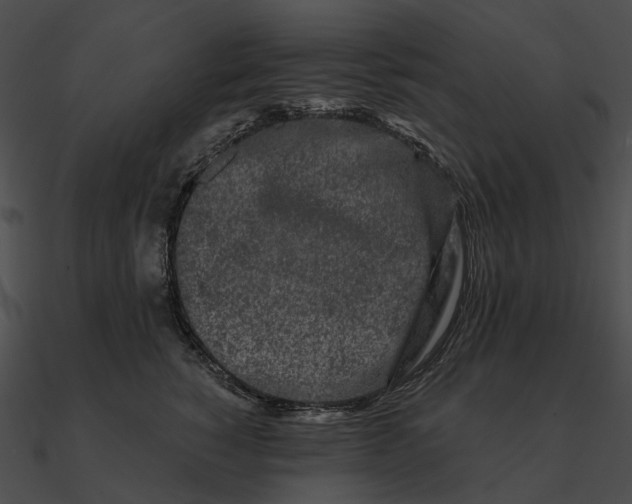 X0000090500760200708031209