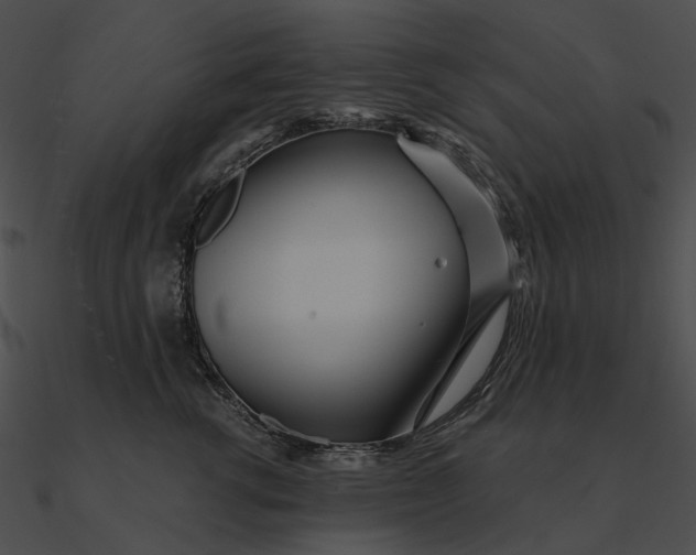 X0000090500762200708031209