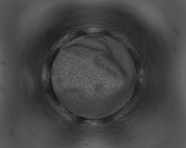 X0000090500763200708031209