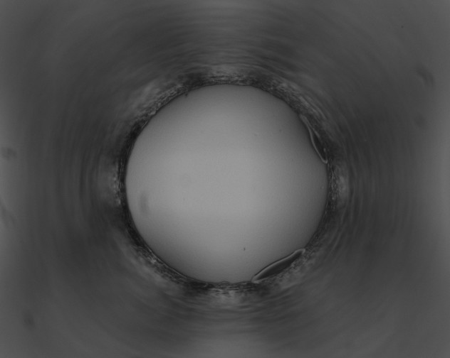 X0000090500764200708031209