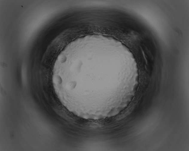 X0000090500765200708031209