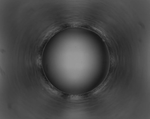 X0000090500766200708031209